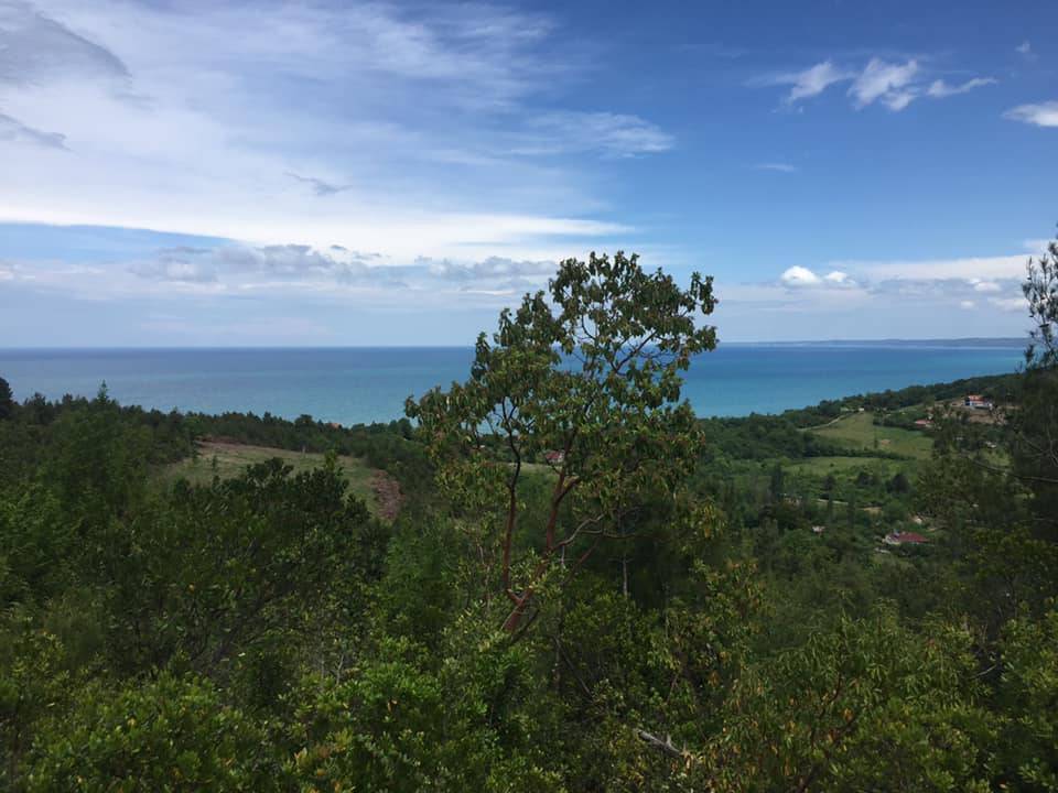 Ayancık Bahçeli Köyü Resimleri 11