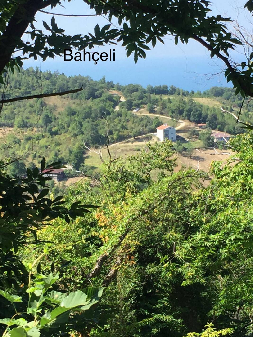 Ayancık Bahçeli Köyü Resimleri 12