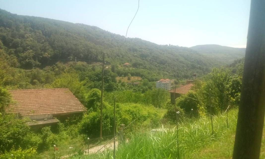 Ayancık Bahçeli Köyü Resimleri 2