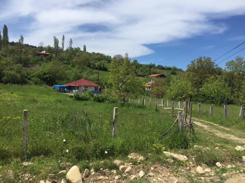 Ayancık Bahçeli Köyü Resimleri 5