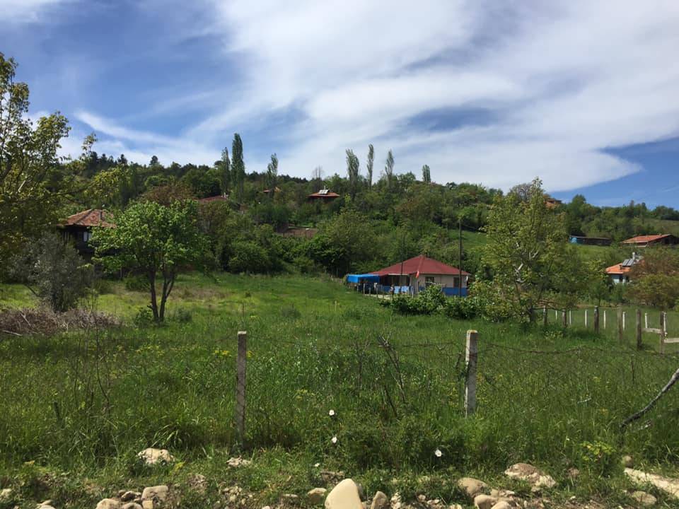 Ayancık Bahçeli Köyü Resimleri 6