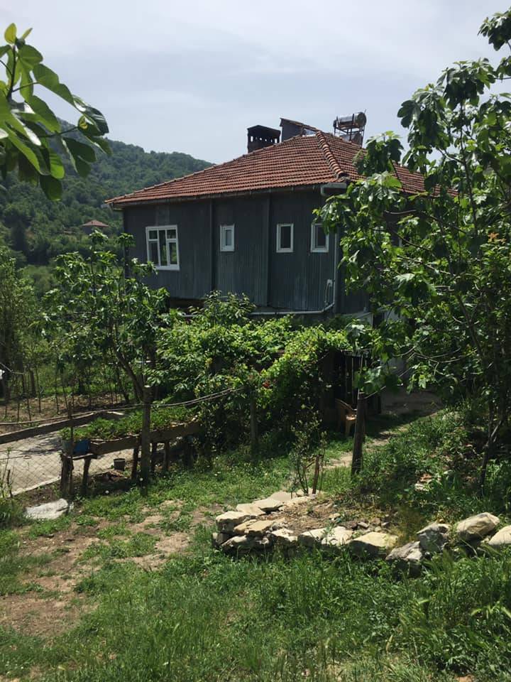 Ayancık Bahçeli Köyü Resimleri 8