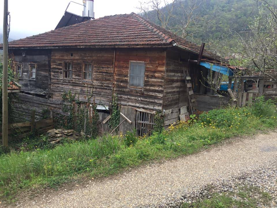 Ayancık Bahçeli Köyü Resimleri 9