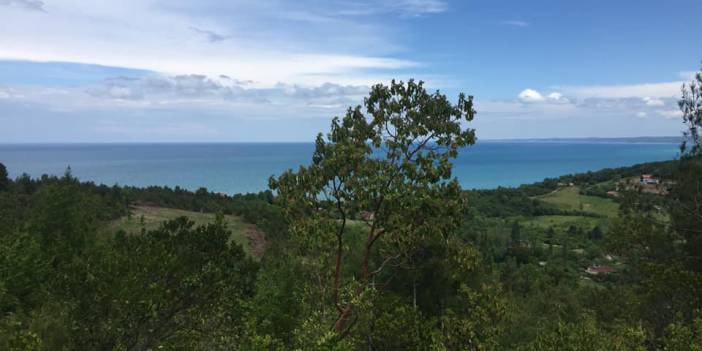 Ayancık Bahçeli Köyü Resimleri