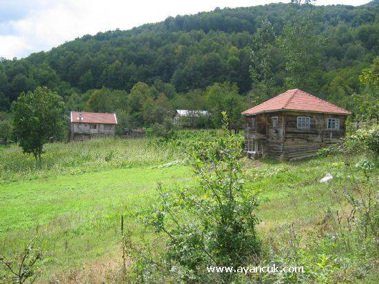 Ayancık Bakırlı Köyü Resimleri 8