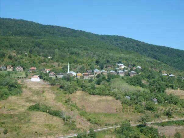 Ayancık Bakırlızaviye Köyü Resimleri 1