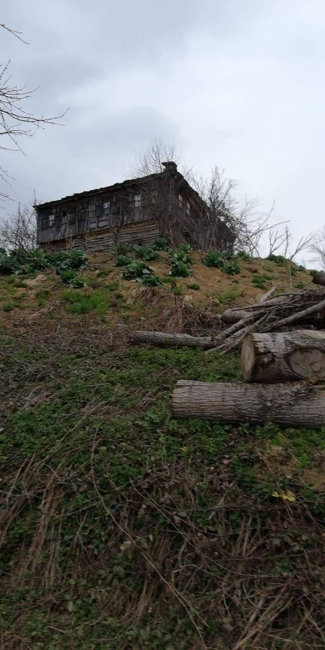 Ayancık Bakırlızaviye Köyü Resimleri 14