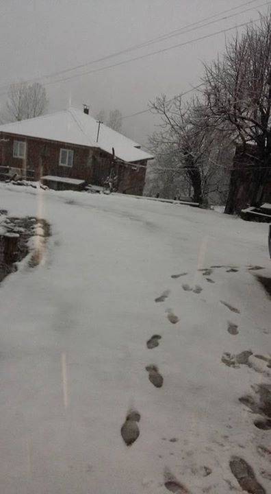 Ayancık Belpınar Köyü Resimleri 1