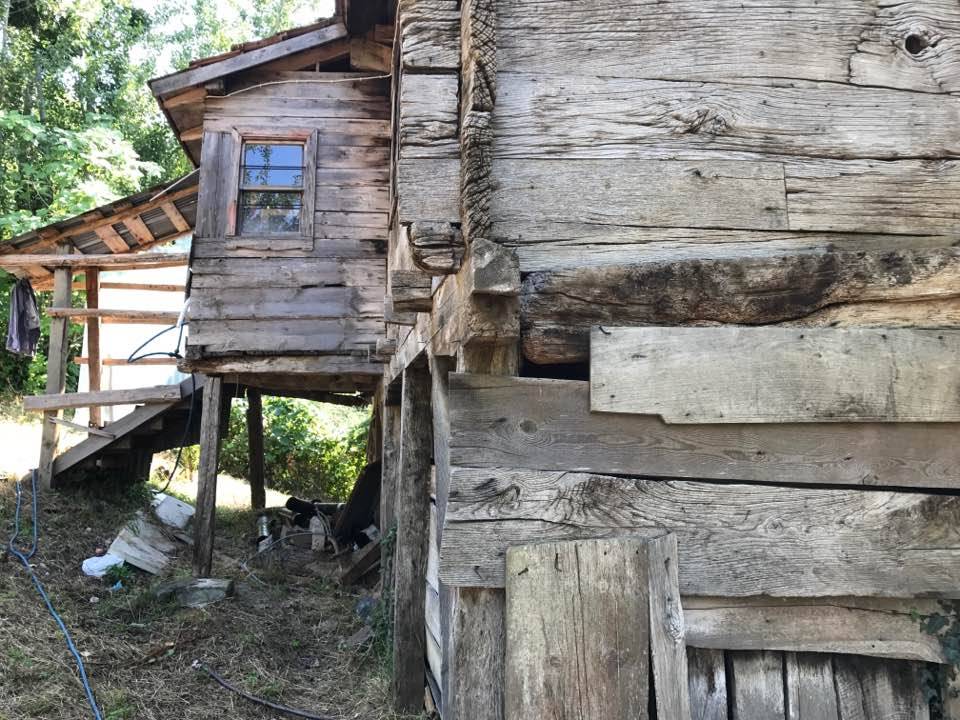 Ayancık Belpınar Köyü Resimleri 4