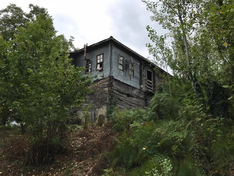 Ayancık Belpınar Köyü Resimleri 6