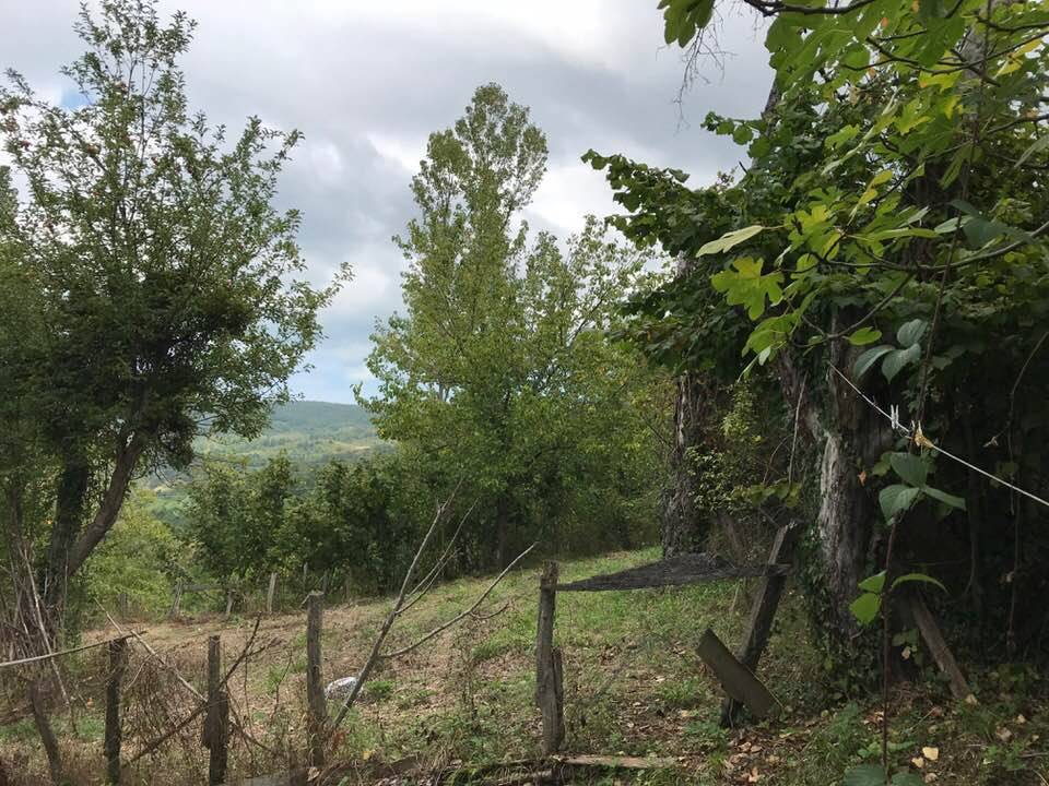 Ayancık Belpınar Köyü Resimleri 8