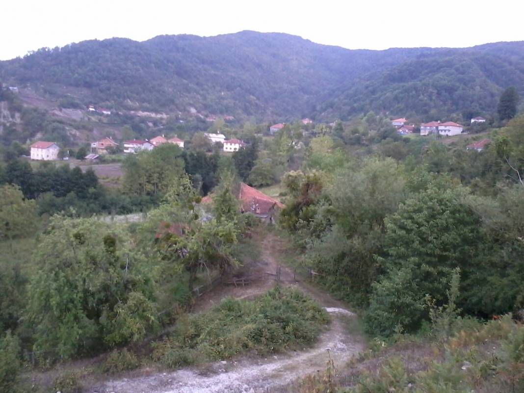 Ayancık Çamyayla Köyü Resimleri 1