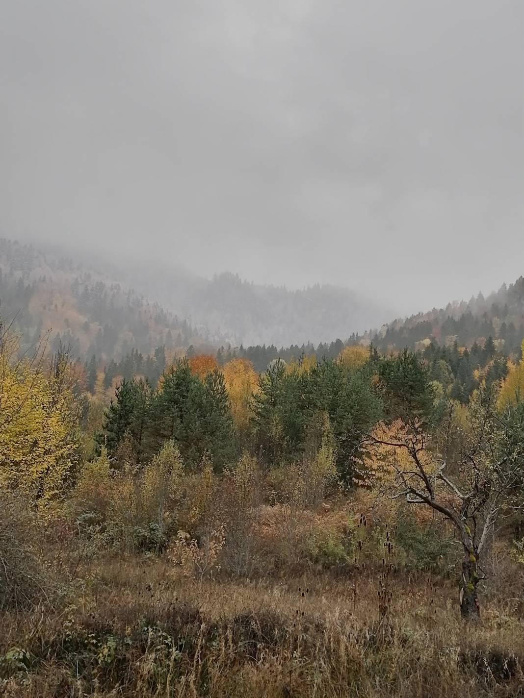 Ayancık Çaybaşı Köyü Resimleri 10