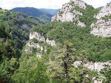 Ayancık Çaybaşı Köyü Resimleri 2