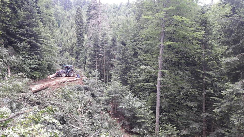 Ayancık Çaybaşı Köyü Resimleri 4