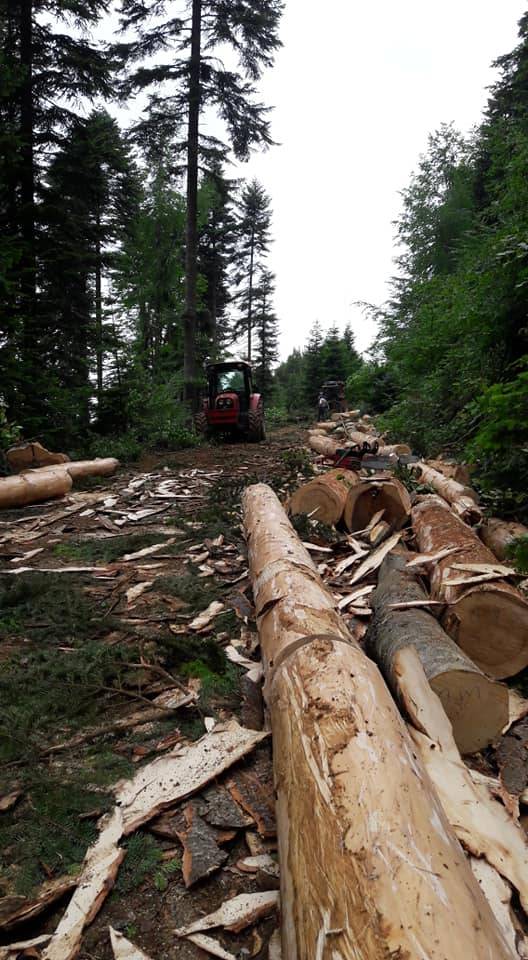 Ayancık Çaybaşı Köyü Resimleri 5