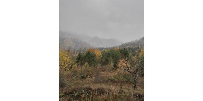 Ayancık Çaybaşı Köyü Resimleri