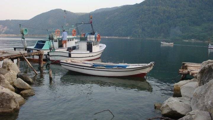 Ayancık Çaylıoğlu Köyü Resimleri 1