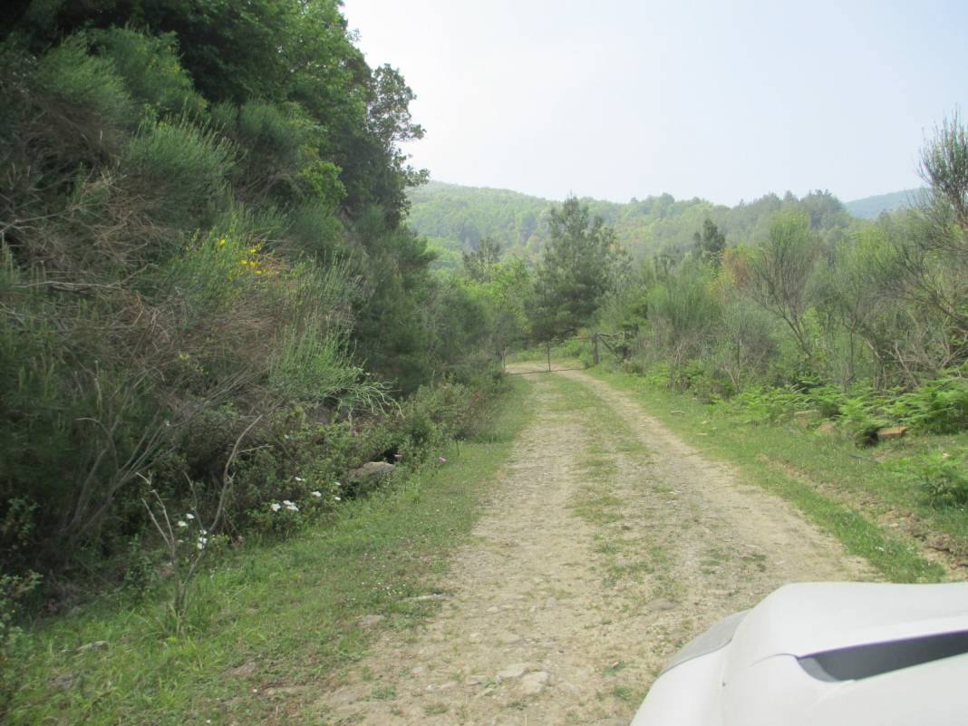 Ayancık Çaylıoğlu Köyü Resimleri 10