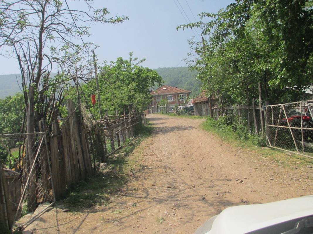 Ayancık Çaylıoğlu Köyü Resimleri 11