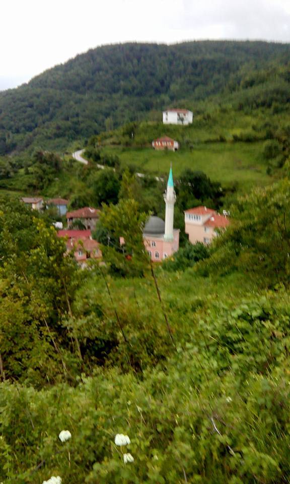 Ayancık Çaylıoğlu Köyü Resimleri 12