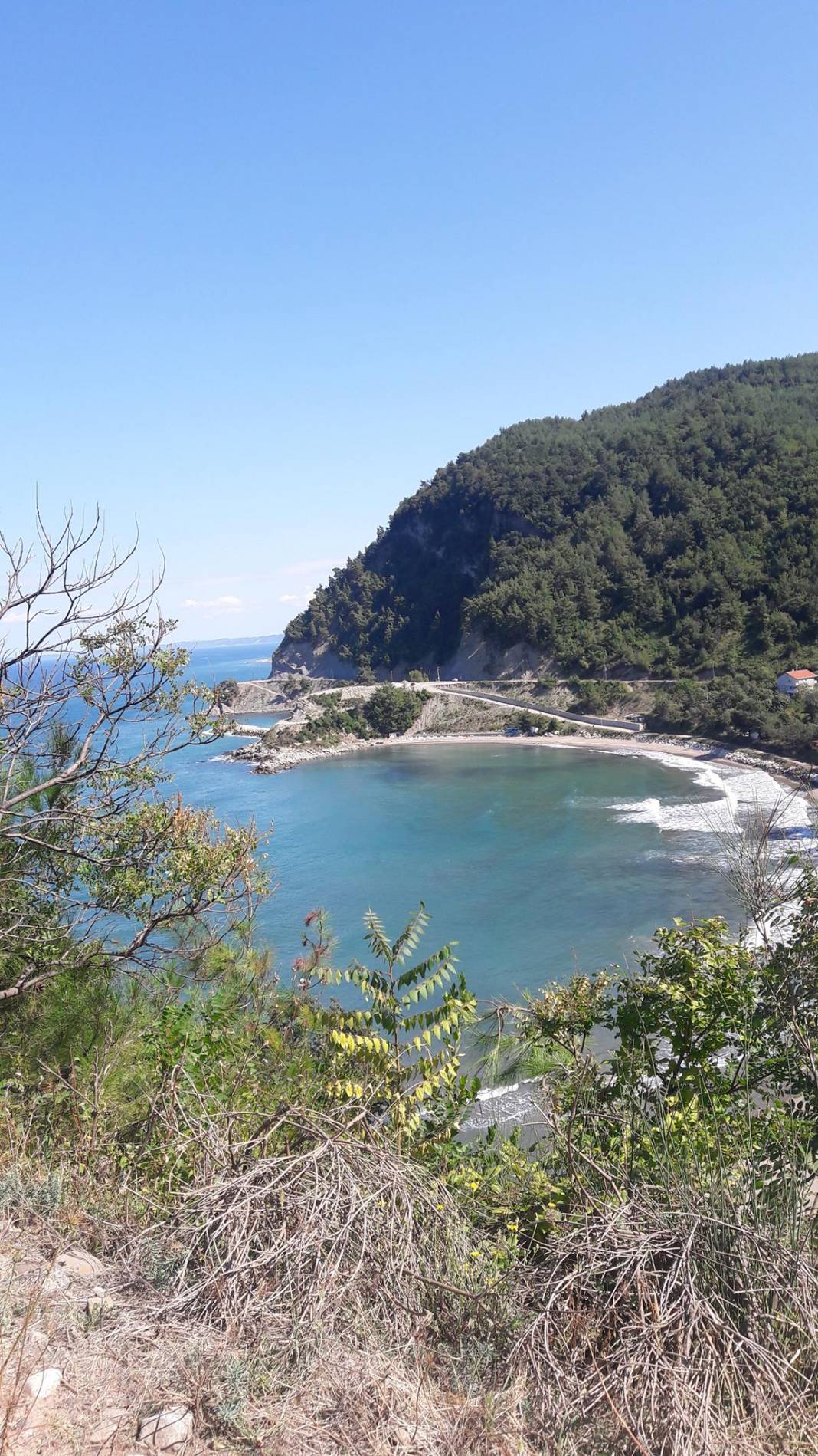 Ayancık Çaylıoğlu Köyü Resimleri 13