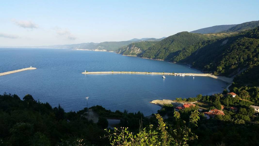 Ayancık Çaylıoğlu Köyü Resimleri 14