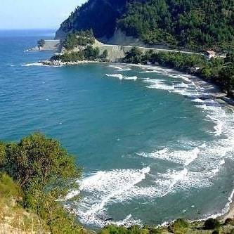 Ayancık Çaylıoğlu Köyü Resimleri 18