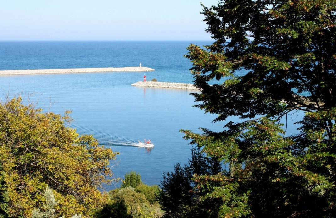 Ayancık Çaylıoğlu Köyü Resimleri 21