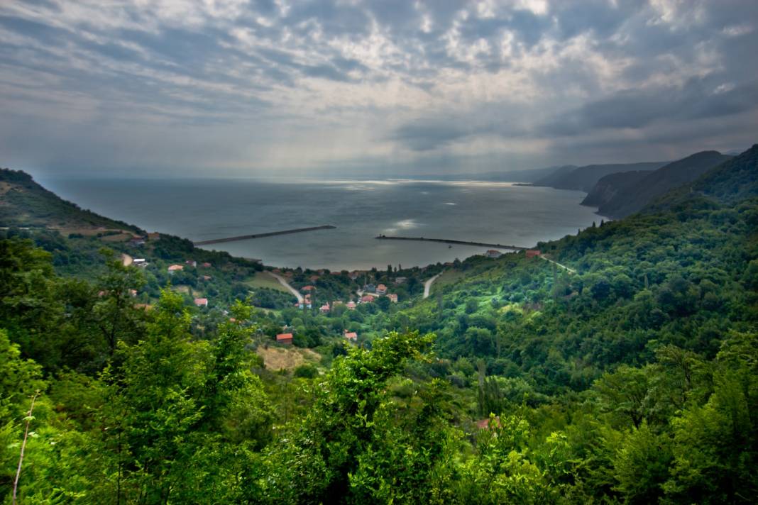 Ayancık Çaylıoğlu Köyü Resimleri 3
