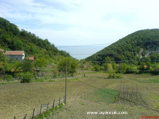 Ayancık Çaylıoğlu Köyü Resimleri 6