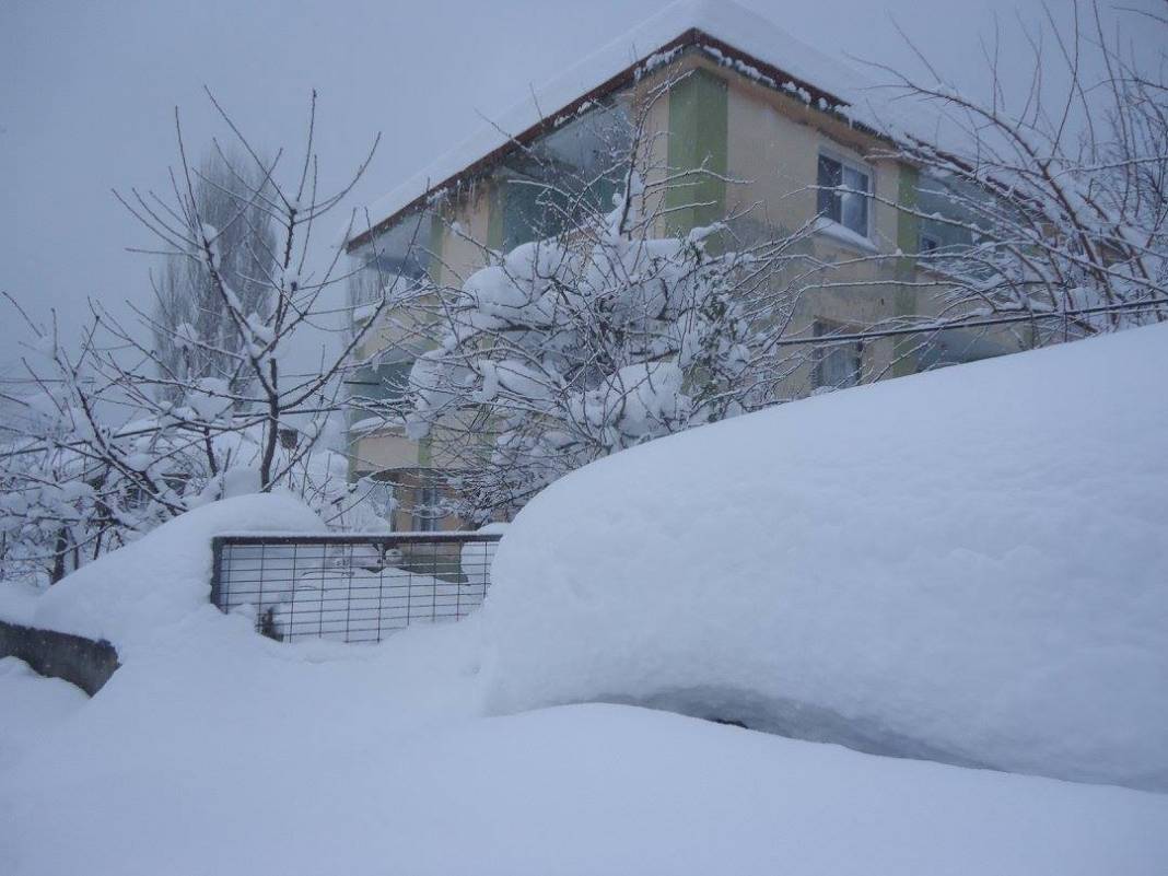 Ayancık Çaylıoğlu Köyü Resimleri 8
