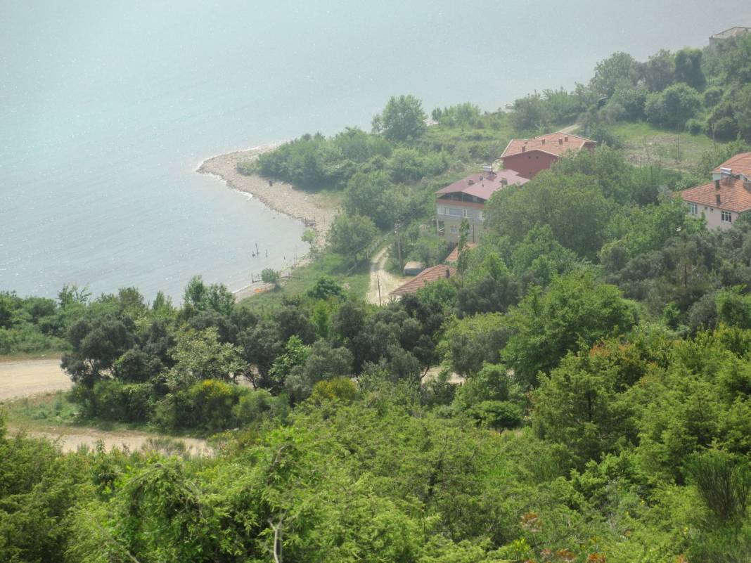 Ayancık Çaylıoğlu Köyü Resimleri 9