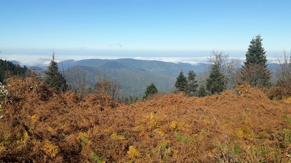 Ayancık Davutlu Köyü Resimleri 11