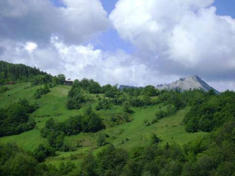 Ayancık Davutlu Köyü Resimleri 3