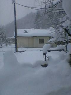 Ayancık Davutlu Köyü Resimleri 5