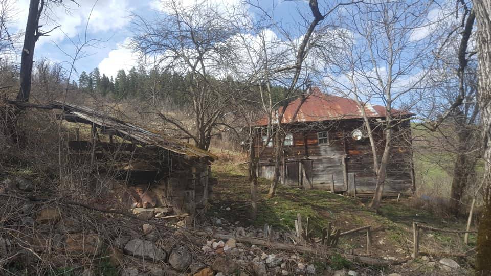 Ayancık Davutlu Köyü Resimleri 6