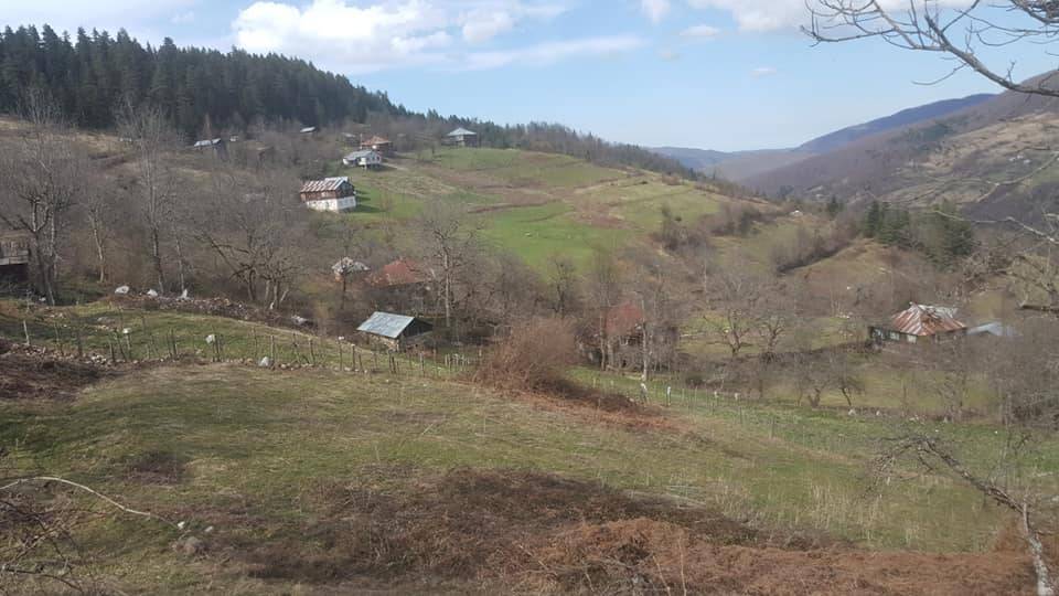 Ayancık Davutlu Köyü Resimleri 7