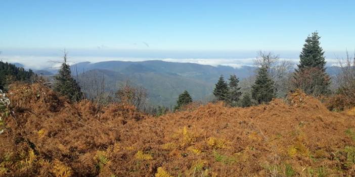 Ayancık Davutlu Köyü Resimleri