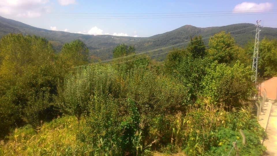 Ayancık Dedeağaç Köyü Resimleri 11