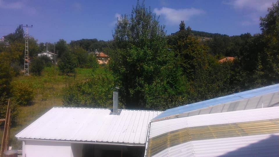 Ayancık Dedeağaç Köyü Resimleri 12