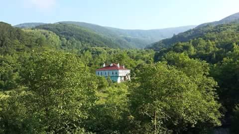 Ayancık Dedeağaç Köyü Resimleri 2