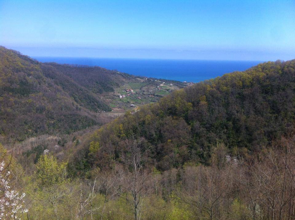 Ayancık Dedeağaç Köyü Resimleri 3