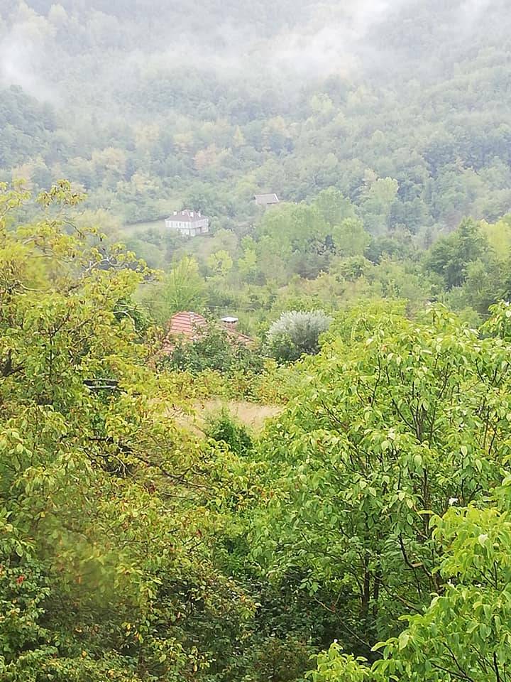 Ayancık Dedeağaç Köyü Resimleri 5