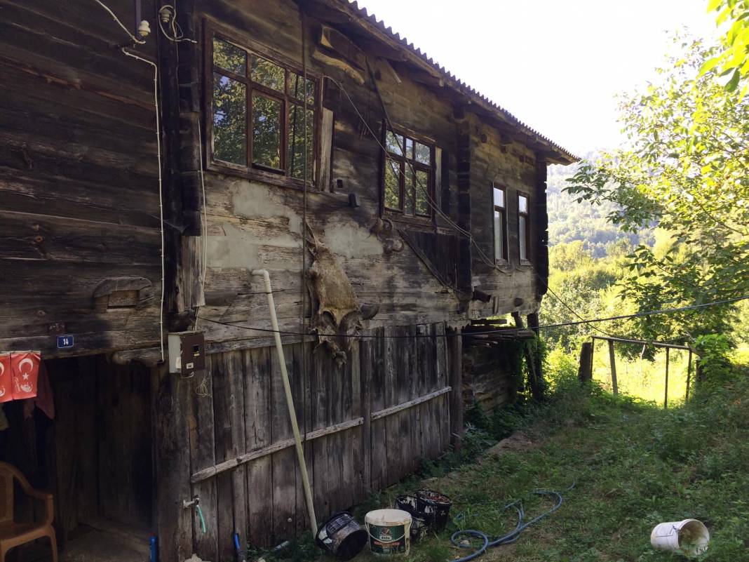 Ayancık Dedeağaç Köyü Resimleri 6