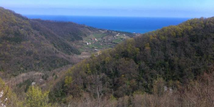 Ayancık Dedeağaç Köyü Resimleri