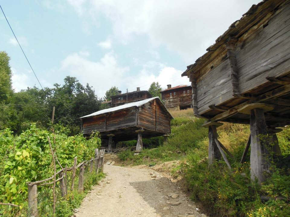 Ayancık Dibekli Köyü Resimleri 1