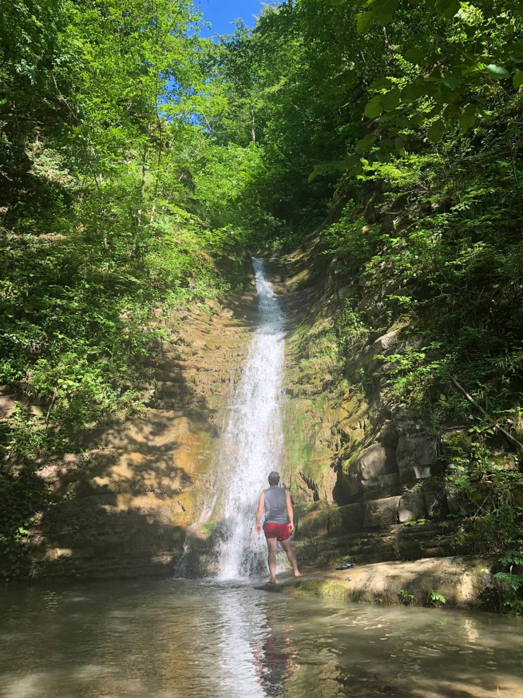 Ayancık Dibekli Köyü Resimleri 10