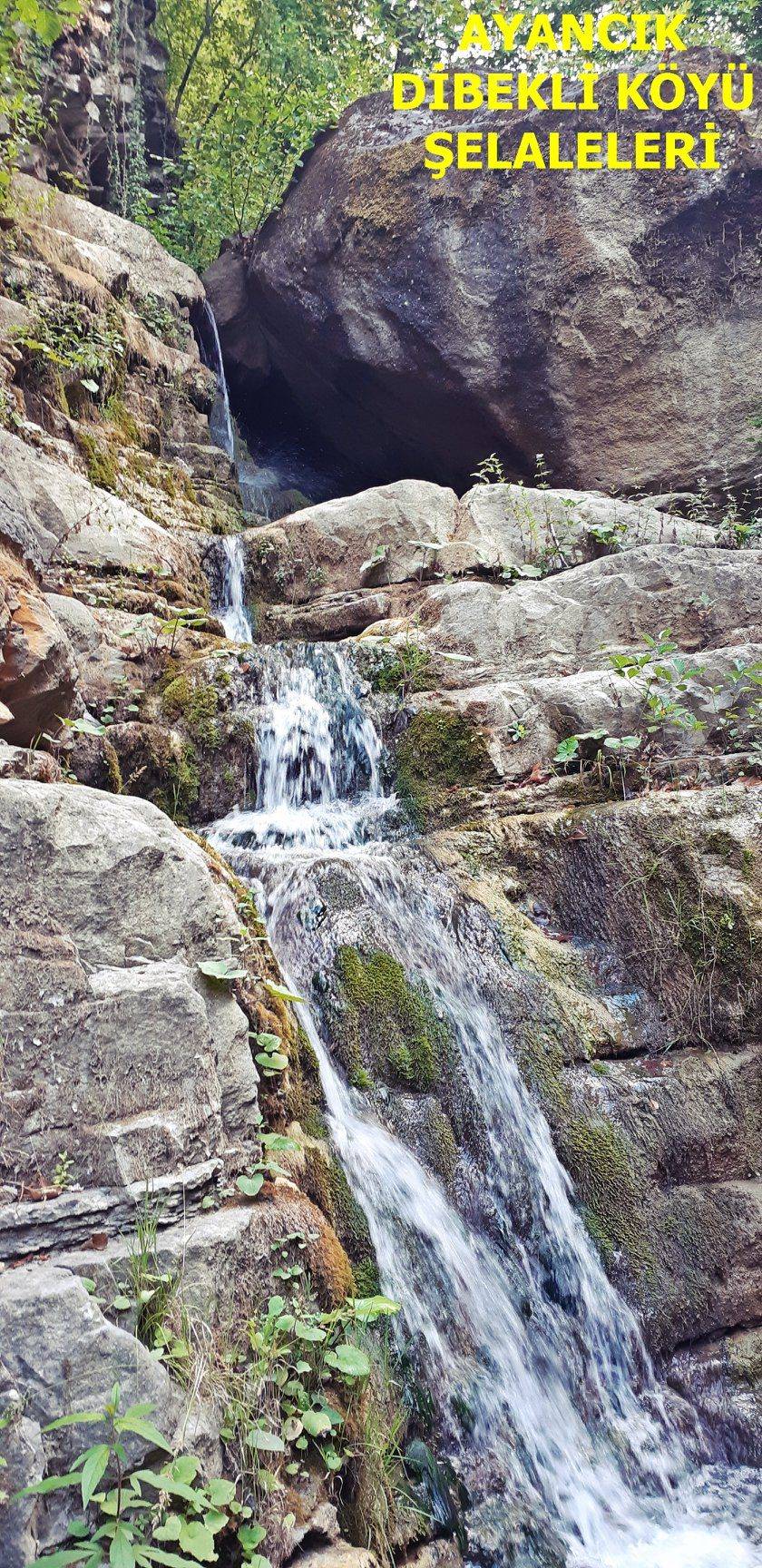 Ayancık Dibekli Köyü Resimleri 11