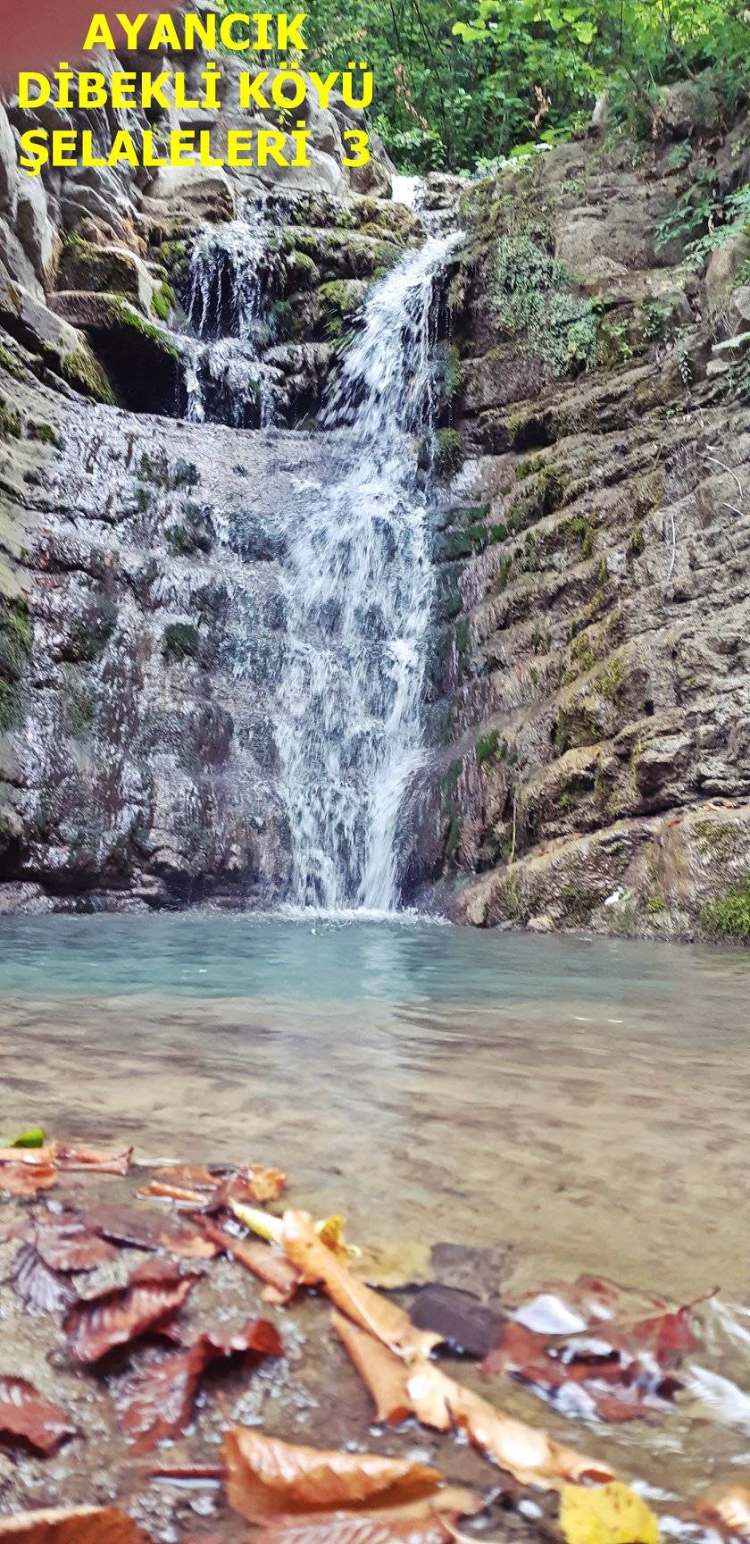 Ayancık Dibekli Köyü Resimleri 12